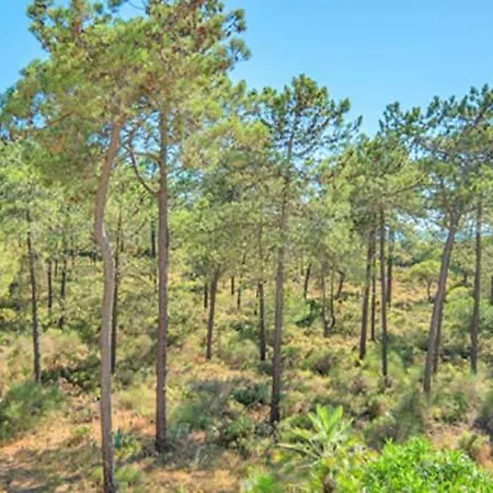 Vale Do Garrao Sleeps 8 With Pool Air Con And Wifi