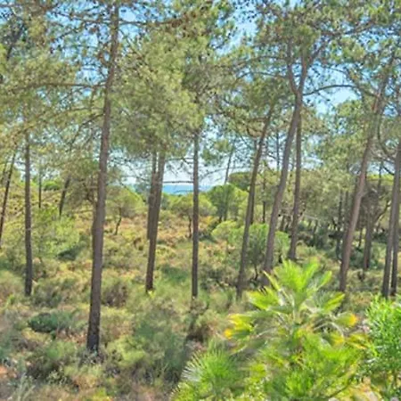 Vale Do Garrao Sleeps 8 With Pool Air Con And Wifi Quinta do Lago